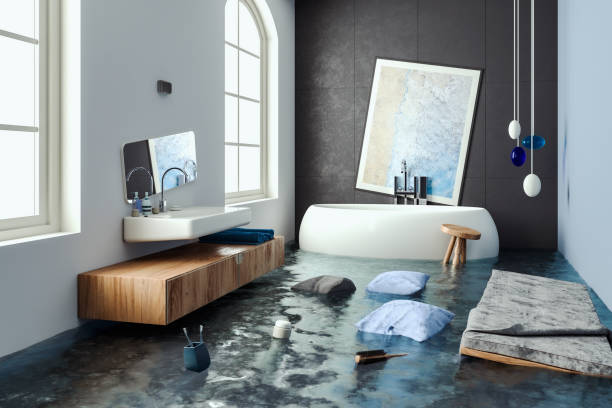 Best Mold removal after water damage  in Welcome, NC