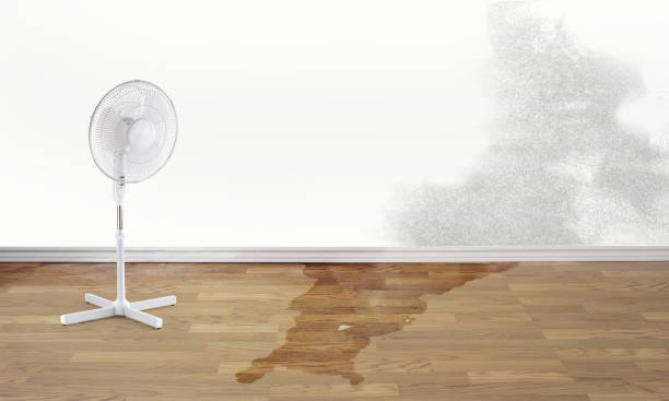 Best Basement water damage restoration  in Welcome, NC