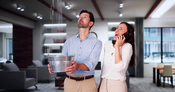 Best Water damage contractors near me  in Welcome, NC